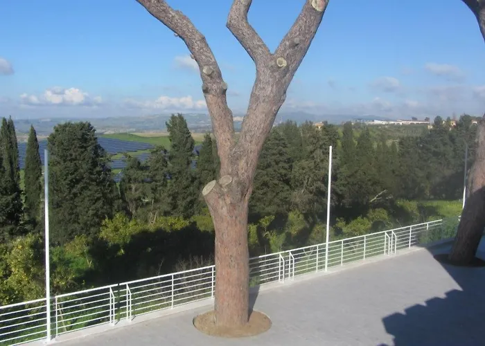 Campo Allegro